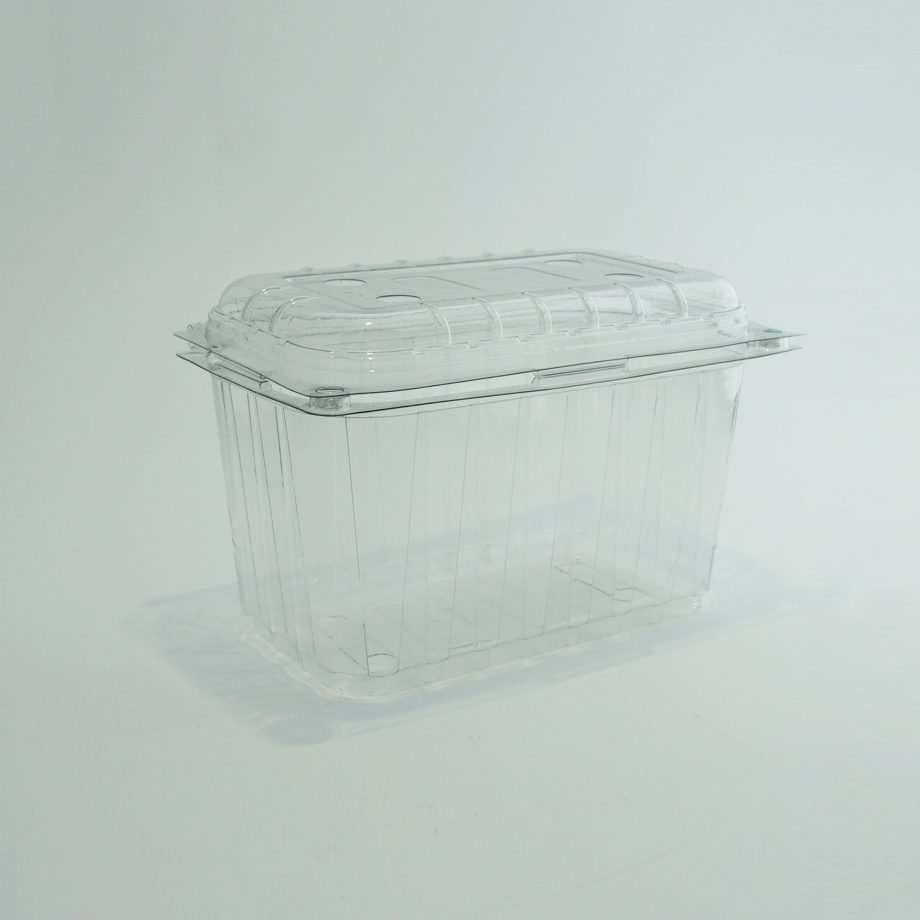 PET plastic container uogoms su atlenkiamu dangteliu, 1000 ml